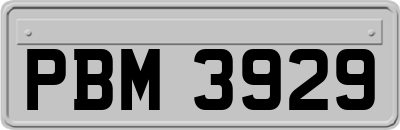 PBM3929