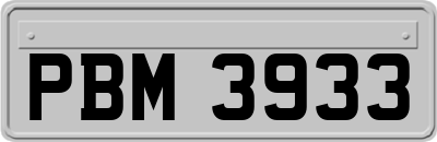 PBM3933