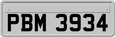 PBM3934