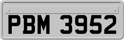 PBM3952