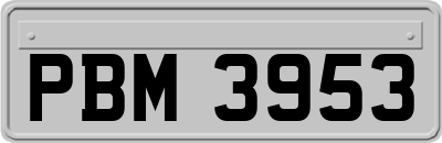 PBM3953