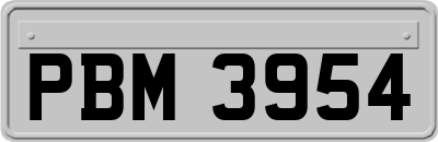 PBM3954