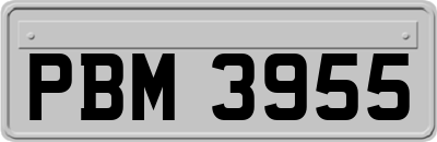 PBM3955