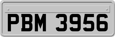 PBM3956