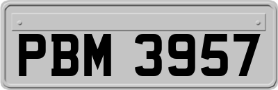 PBM3957