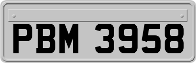 PBM3958