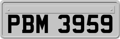 PBM3959