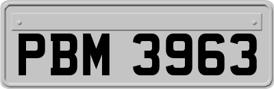 PBM3963