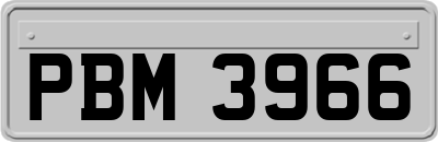 PBM3966