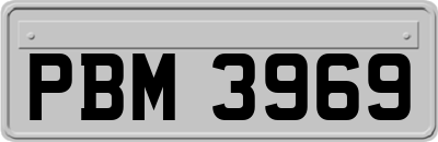 PBM3969