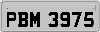 PBM3975