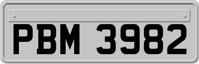 PBM3982