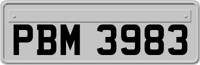 PBM3983