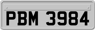 PBM3984