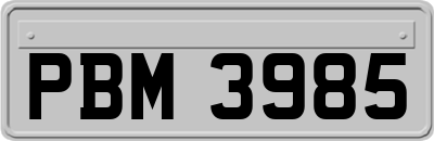 PBM3985