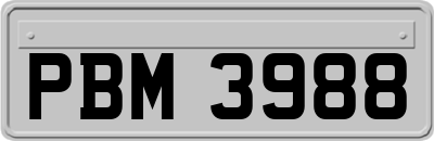 PBM3988