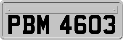 PBM4603