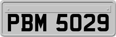 PBM5029