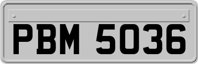 PBM5036