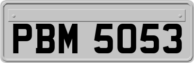 PBM5053