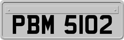 PBM5102