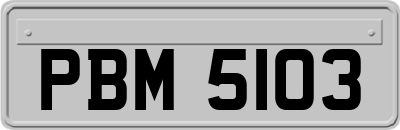 PBM5103