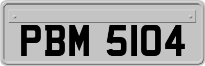 PBM5104