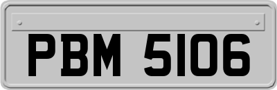 PBM5106