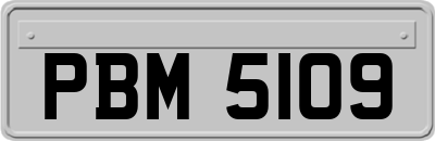 PBM5109