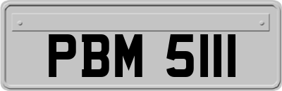 PBM5111