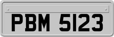 PBM5123