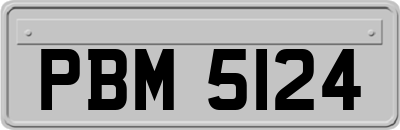 PBM5124