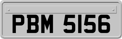 PBM5156