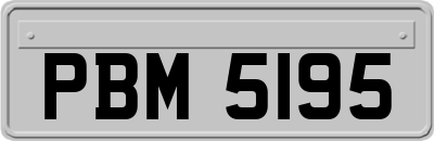 PBM5195