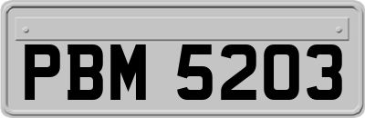 PBM5203