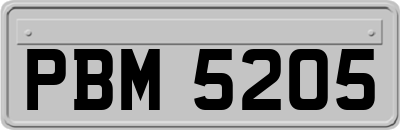 PBM5205