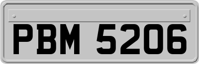 PBM5206