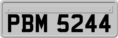 PBM5244