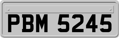 PBM5245