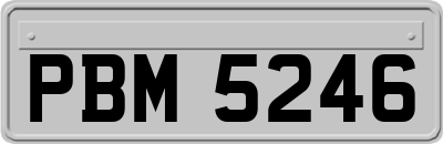 PBM5246