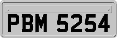 PBM5254