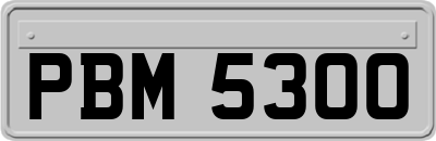 PBM5300