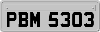 PBM5303