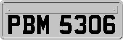 PBM5306