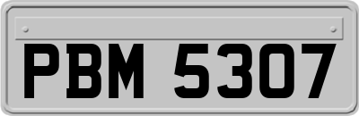 PBM5307