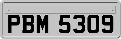 PBM5309