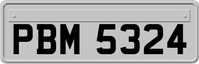 PBM5324