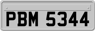 PBM5344