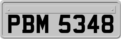 PBM5348