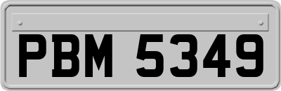 PBM5349